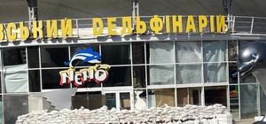 Из Харькова в Одессу привезут дельфинов, морских львов и котиков