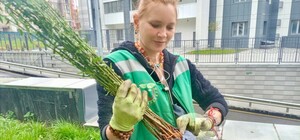 В Харькове появилась персиковая аллея