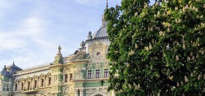 В Одессе цветут акации и каштаны