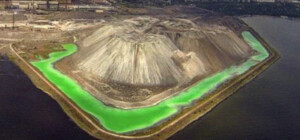 Власти Мариуполя заявили об угрозе полного вымирания Азовского моря