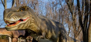 В Днепре снова заработает 