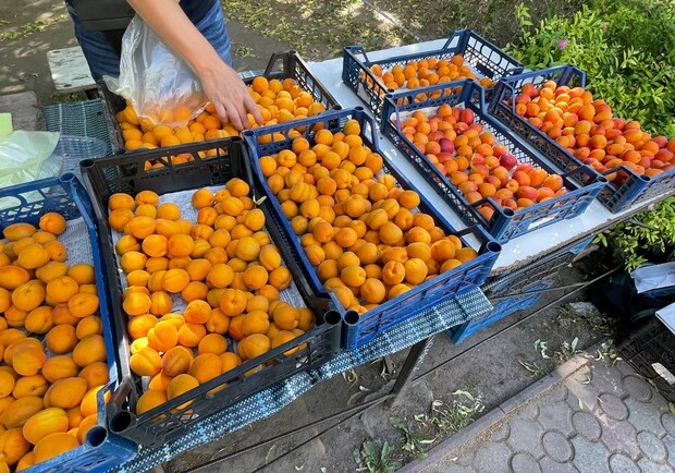 В Запорожье начали продавать абрикосы: какие цены - 