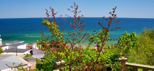 Июльская жара: какая погода будет в Одессе на следующей неделе 