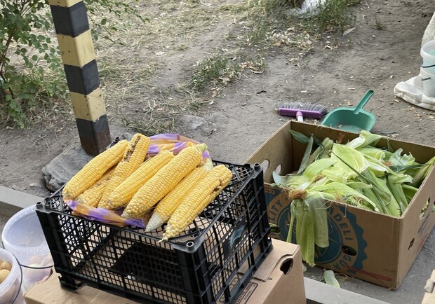 У Запоріжжі почали продавати кукурудзу: які ціни - фото: Vgorode.ua