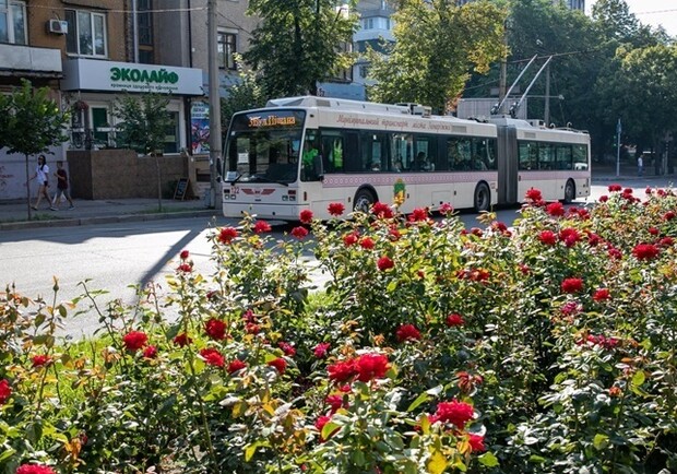 Як працюватиме громадський транспорт у Запоріжжі з 12 липня. 