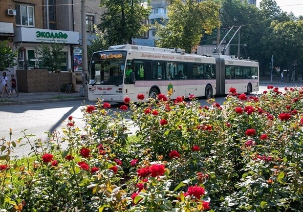 Як у Запоріжжі працюватиме громадський транспорт 18 липня - 