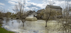 Через 7-10 дней вода уйдет из затопленных сел на севере Киевской области