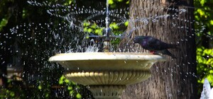 Жаркий и солнечный август: какая погода будет в Одессе на следующей неделе