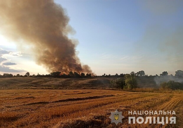 Александр Старух рассказал, кака сейчас ситуация в Запорожской области - 
