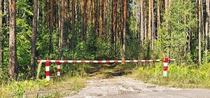 В Харьковской области запретили ходить в лес и на охоту