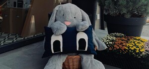 Інстаграмне місце: у Львові відкрили ресторан із зайцями