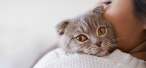 Де у Києві безкоштовно вакцинувати та стерилізувати домашніх тварин