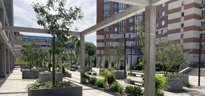 В Днепре завершили реконструкцию бульвара Кучеревского: как он выглядит