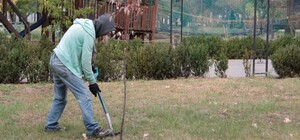 В Днепре безработные и переселенцы могут заработать дополнительные деньги