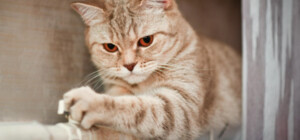 В Мелитополе отопительный сезон точно не начнется вовремя, – мэр Федоров