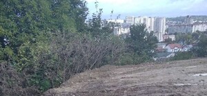 На Єрошенка зафіксували самовільно захоплену ділянку, частину якої планували продати на аукціоні