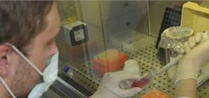 Запорожские общепиты продолжают кормить горожан продуктами с кишечной палочкой