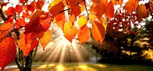 Бабье лето или первые осенние холода: какая погода будет в Одессе в октябре