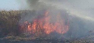 У ДСНС і Одеській ОВА пояснили, чому в Одесі пахло гаром