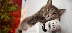 Коли у Києві ввімкнуть опалення