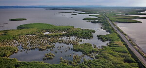 На межі екологічної катастрофи: на Одещині пересихають придунайські озера