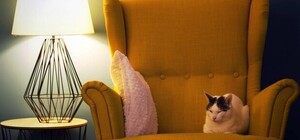 В облэнерго отмечают, что в Запорожье не запланированы отключения света