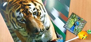 В Одесском зоопарке объявили результаты конкурса 