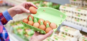 Стало известно, когда в магазинах Киева подешевеют яйца