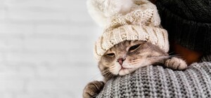 У Дніпрі цього тижня прогнозують сніг та мороз