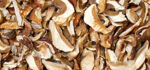 В Одессе 14-летняя девушка попала в реанимацию после употребления сушенных грибов