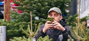 В Одессе появились первые елочные базары