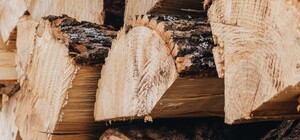 В Украине выросли цены на дрова: за сколько можно купить древесину