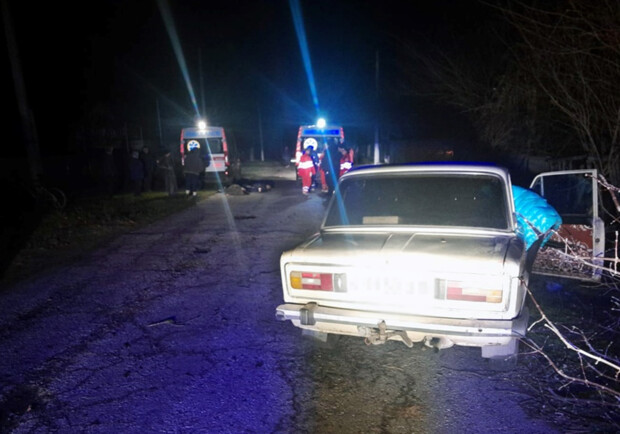В селі під Запоріжжям п'яний водій збив насмерть двох пішоходів. 