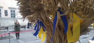 У центрі Львова встановили великого Різдвяного Дідуха — відео