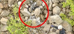 Розчленував і заховав тіла: мешканця Запоріжжя обвинувачують у вбивстві трьох людей