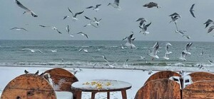 Гололед и санки: в Одессу пришла настоящая зима (фото)