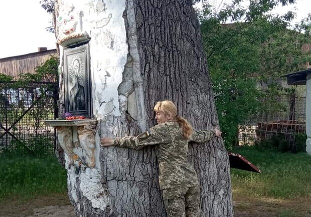 оккупанты спилили на дрова 600-летний дуб в Запорожской области. 