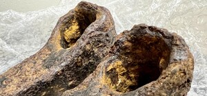 Из Киева пытались вывезти в США редкие артефакты - ФОТО