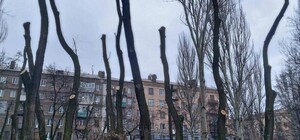 В Запорожье предлагают переименовать сквер Яланского в честь погибшего военного