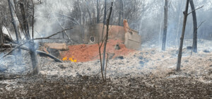 В полиции показали последствия вражеских обстрелов Запорожской области (фото)