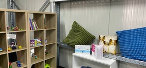 В Броварах появился 