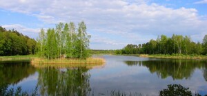 В Київській області з'явиться 13 нових заповідників: де саме 