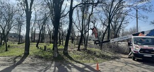 В Днепре создают новую парковую зону