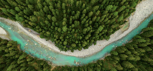 «Сортуй красу» — екосвідома ініціатива від L’Oréal Україна