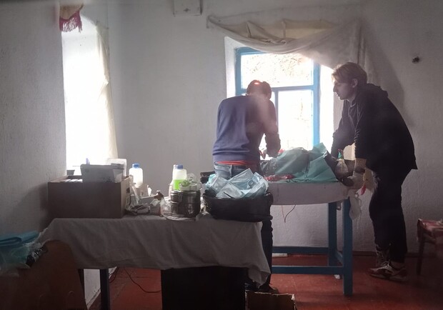 Волонтеры организовали стерилизацию собак у зоны боевых действий в Орехове. 
