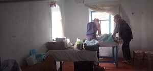 Волонтеры организовали стерилизацию собак в зоне боевых действий в Орехове