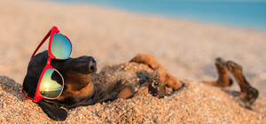 Гуменюк: в этом году в Одессе еще неуместно открывать курортный сезон