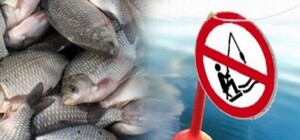 На Одещині набула чинності нерестова заборона на вилов риби