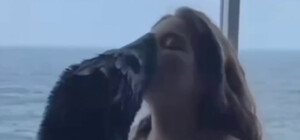 Одесити обурили фотосесії дельфінарію 