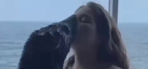 Новые подробности скандала в 